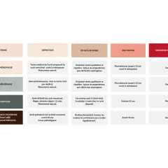 Tableau comparatif des étapes de la ménopause : périménopause, préménopause, ménopause et ménopause précoce, indiquant à quel âge ces phases peuvent survenir.