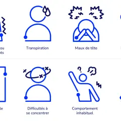 Symptômes de **baisse de glycémie** : tremblements, transpiration, maux de tête, faim, vision trouble, difficultés à se concentrer, comportement inhabituel, mauvaise coordination.