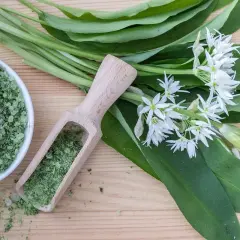 Sel de cuisine vert fait maison à base d'ail des ours, avec des feuilles et des fleurs fraîches.