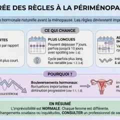 Périménopause : règles plus courtes, plus longues ou imprévisibles, parfois tous les 15 jours. Changements hormonaux expliquant ces variations.