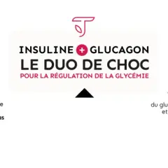 Schéma expliquant comment faire baisser la glycémie par l'effort physique, qui libère le glucose et stimule le pancréas à sécréter du glucagon.