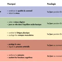 Tableau comparatif des formes de magnésium : Bisglycinate pour réduire le stress, Citrate pour la digestion, Malate pour la fatigue, Taurate pour le cœur, Thréonate pour la mémoire. Ces aliments magnésium aident à gérer le stress.