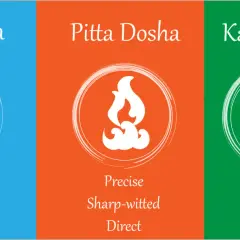 Vata, Pitta, Kapha : trois doshas ayurvédiques représentés par des symboles (nuage, feu, fleur) et des qualités (énergique, précis, loyal).