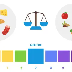 Illustration du **régime acido basique** : aliments acides (viande, fromage, pain, cola) vs alcalins (fruits, légumes, noix). Balance et échelle pH.