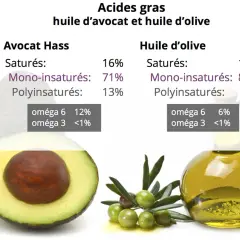 Comparaison des acides gras : l'avocat Hass et l'huile d'olive, révélant la valeur nutritionnelle de l'avocat avec 71% de mono-insaturés.