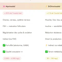 Tableau comparatif : inositol c'est quoi ? Myo-inositol (95%) cible ovaires, FSH, cycles. D-Chiro-inositol (5%) cible muscles, insuline, résistance.