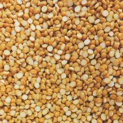 Gros plan sur une texture de pois cassés jaunes, une excellente source de proteine de pois pour une alimentation saine.