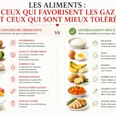 Liste aliments anti-ballonnements : légumineuses, choux, oignons, ail, boissons gazeuses, polyols, produits laitiers sont à éviter. Riz blanc, œufs, banane, pommes de terre, légumes cuits, viandes maigres sont mieux tolérés.