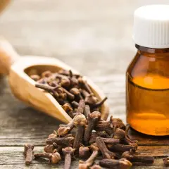 Clous de girofle et une fiole d'huile essentielle, suggérant un traitement naturel pour l'intoxication alimentaire.