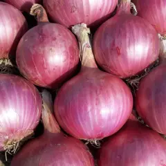 Gros plan sur des oignons rouges, parfaits pour découvrir les oignon rouge bienfaits. Ils sont prêts à être cuisinés.