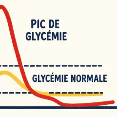 Graphique montrant un pic de glycémie élevé, bien au-dessus de la glycémie normale, illustrant un problème de régulation du sucre.