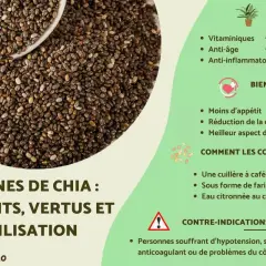 Graines de chia : une cuillère à café par jour pour leurs bienfaits vitaminiques, anti-âge et anti-inflammatoires.