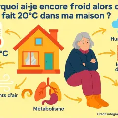 Une femme frissonne malgré 20°C chez elle. L'infographie explore les causes de cette sensation de froid intérieur du corps : humidité, isolation, couleurs des murs, métabolisme, courants d'air et solaire.