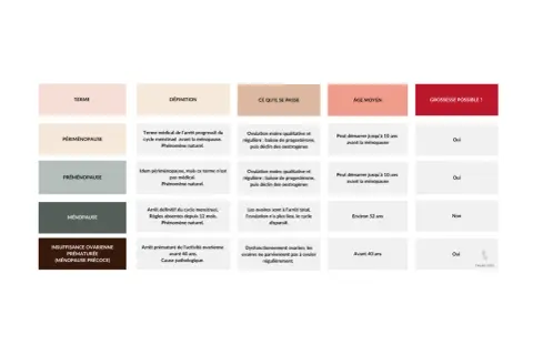 Tableau comparatif des étapes de la ménopause : périménopause, préménopause, ménopause et ménopause précoce, indiquant à quel âge ces phases peuvent survenir.