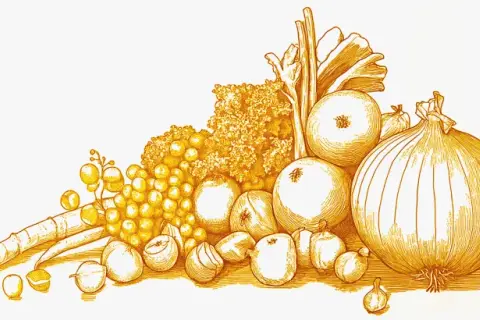 Illustration d'un assortiment de légumes et fruits, dont des oignons, carottes et raisins. Un remède naturel contre les démangeaisons.