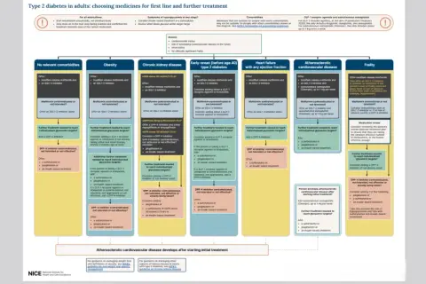 Guide pour le diabète de type 2 : hi diabète que faire ? Ce diagramme aide à choisir les médicaments selon les comorbidités et les objectifs glycémiques.