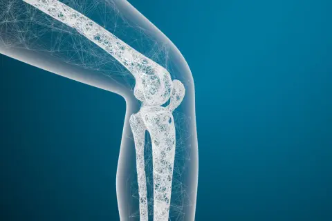 Maquette 3D d'un genou, évoquant un médicament pour régénérer le cartilage.