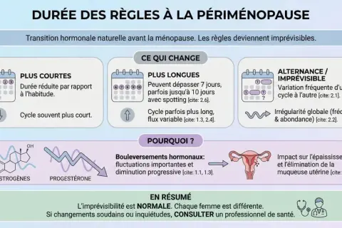 Périménopause : règles plus courtes, plus longues ou imprévisibles, parfois tous les 15 jours. Changements hormonaux expliquant ces variations.