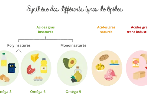 Schéma des lipides : oméga-3, oméga-6, oméga-9, acides gras saturés (viande, beurre) et trans industriels (chips, croissant).