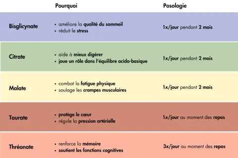 Tableau comparatif des formes de magnésium : Bisglycinate pour réduire le stress, Citrate pour la digestion, Malate pour la fatigue, Taurate pour le cœur, Thréonate pour la mémoire. Ces aliments magnésium aident à gérer le stress.