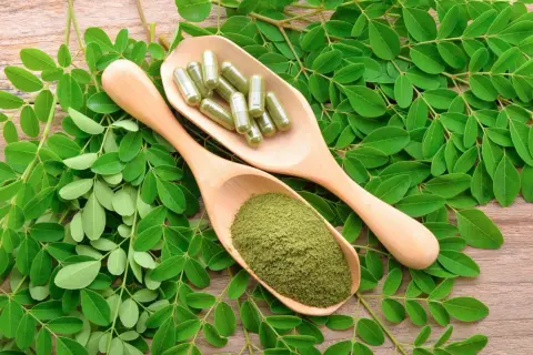 Feuilles de moringa, poudre et gélules sur cuillères en bois. Attention au danger du moringa, une consommation excessive peut être nocive.