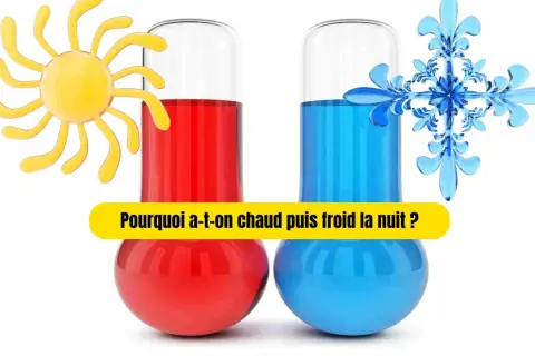Deux thermomètres, l'un rouge avec un soleil, l'autre bleu avec un flocon, illustrent la sensation de chaud et froid dans le corps.