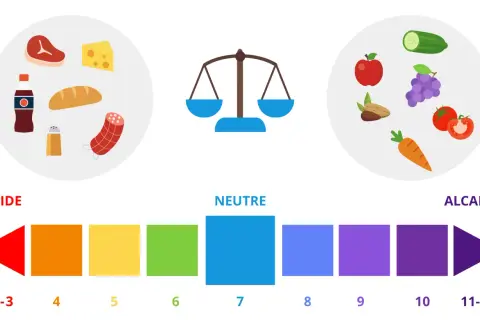 Illustration du **régime acido basique** : aliments acides (viande, fromage, pain, cola) vs alcalins (fruits, légumes, noix). Balance et échelle pH.