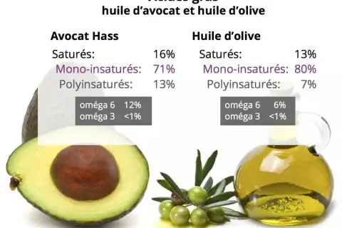 Comparaison des acides gras : l'avocat Hass et l'huile d'olive, révélant la valeur nutritionnelle de l'avocat avec 71% de mono-insaturés.