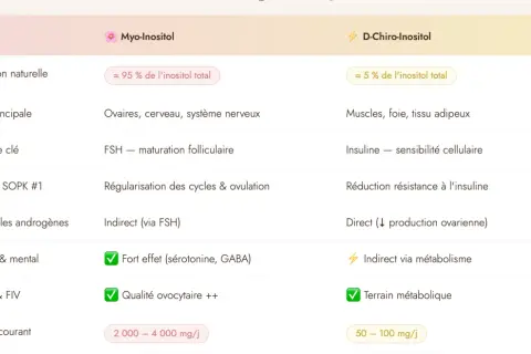 Tableau comparatif : inositol c'est quoi ? Myo-inositol (95%) cible ovaires, FSH, cycles. D-Chiro-inositol (5%) cible muscles, insuline, résistance.