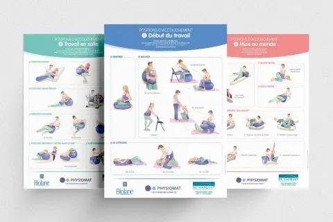 Illustrations de différentes positions physiologiques d'accouchement : travail, début du travail, mise au monde.