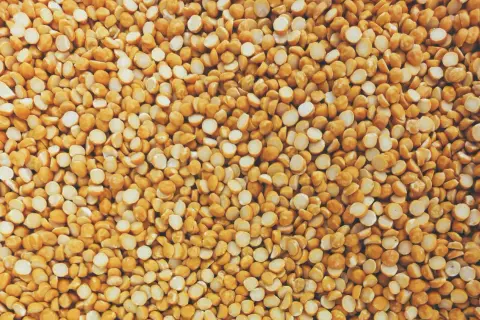 Gros plan sur une texture de pois cassés jaunes, une excellente source de proteine de pois pour une alimentation saine.