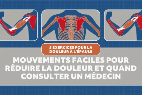 Illustrations anatomiques montrant des muscles et des os de l'épaule, avec le titre "5 exercices pour la douleur à l'épaule". Idéal pour un exercice mobilité épaule.