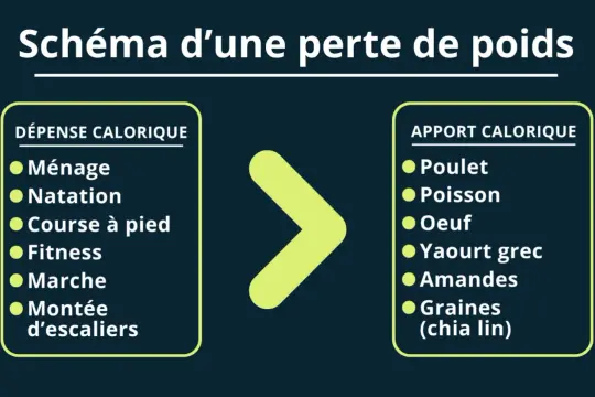 Schéma perte de poids : dépense calorique (ménage, natation, course, fitness, marche, escaliers) > apport calorique (poulet, poisson, œuf, yaourt, amandes, graines). Maigrir sans sport est possible en gérant ces apports.