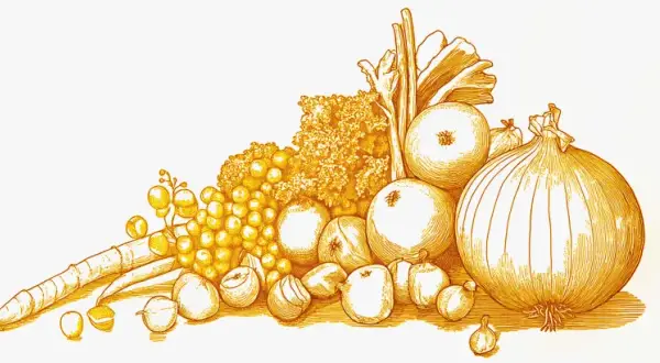 Illustration d'un assortiment de légumes et fruits, dont des oignons, carottes et raisins. Un remède naturel contre les démangeaisons.