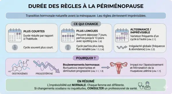 Périménopause : règles plus courtes, plus longues ou imprévisibles, parfois tous les 15 jours. Changements hormonaux expliquant ces variations.