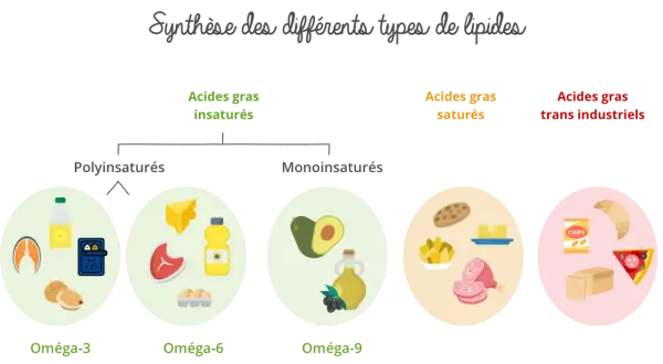 Schéma des lipides : oméga-3, oméga-6, oméga-9, acides gras saturés (viande, beurre) et trans industriels (chips, croissant).