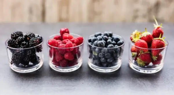 Quatre coupelles de fruits rouges : mûres, framboises, myrtilles et fraises. Un aliment idéal pour la mémoire et la concentration.