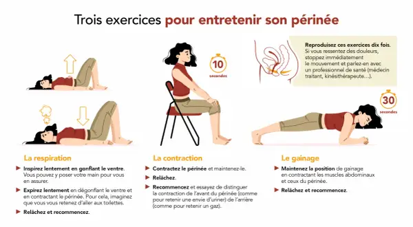 Trois exercices pour entretenir son périnée : respiration, contraction et gainage. Utile pour le problème périnée homme.