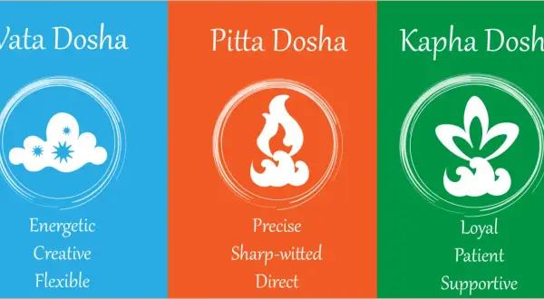 Vata, Pitta, Kapha : trois doshas ayurvédiques représentés par des symboles (nuage, feu, fleur) et des qualités (énergique, précis, loyal).