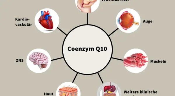 Schéma des coenzyme q10 bienfaits : cœur, cerveau, yeux, peau, muscles, fertilité, système digestif.