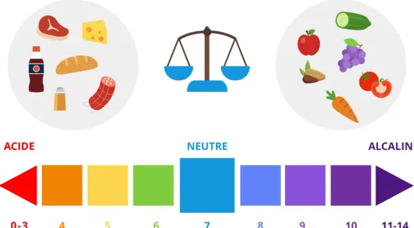 Illustration du **régime acido basique** : aliments acides (viande, fromage, pain, cola) vs alcalins (fruits, légumes, noix). Balance et échelle pH.