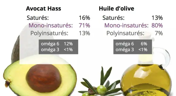 Comparaison des acides gras : l'avocat Hass et l'huile d'olive, révélant la valeur nutritionnelle de l'avocat avec 71% de mono-insaturés.