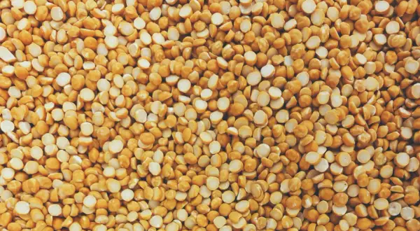 Gros plan sur une texture de pois cassés jaunes, une excellente source de proteine de pois pour une alimentation saine.