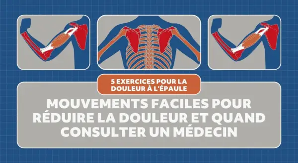 Illustrations anatomiques montrant des muscles et des os de l'épaule, avec le titre "5 exercices pour la douleur à l'épaule". Idéal pour un exercice mobilité épaule.
