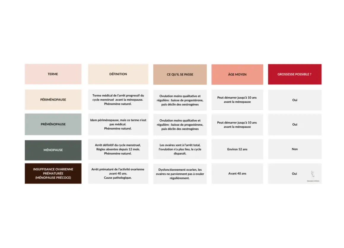 Tableau comparatif des étapes de la ménopause : périménopause, préménopause, ménopause et ménopause précoce, indiquant à quel âge ces phases peuvent survenir.