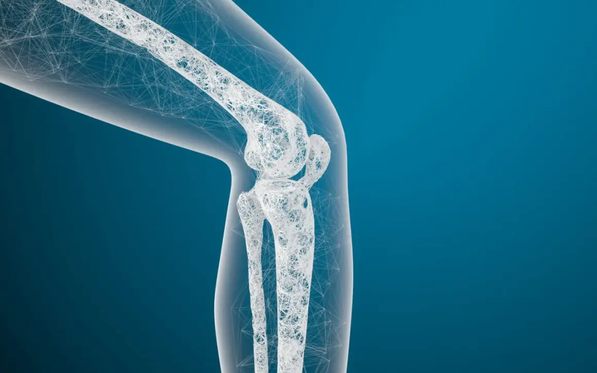 Maquette 3D d'un genou, évoquant un médicament pour régénérer le cartilage.