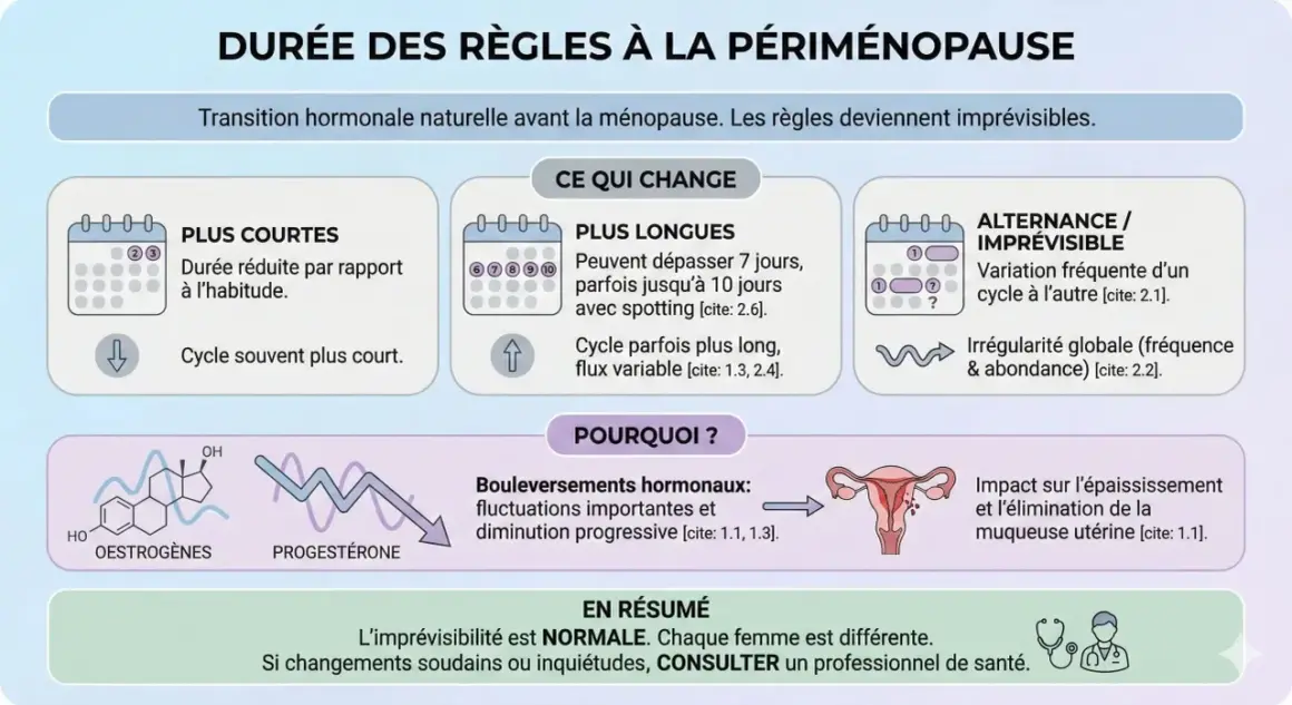 Périménopause : règles plus courtes, plus longues ou imprévisibles, parfois tous les 15 jours. Changements hormonaux expliquant ces variations.