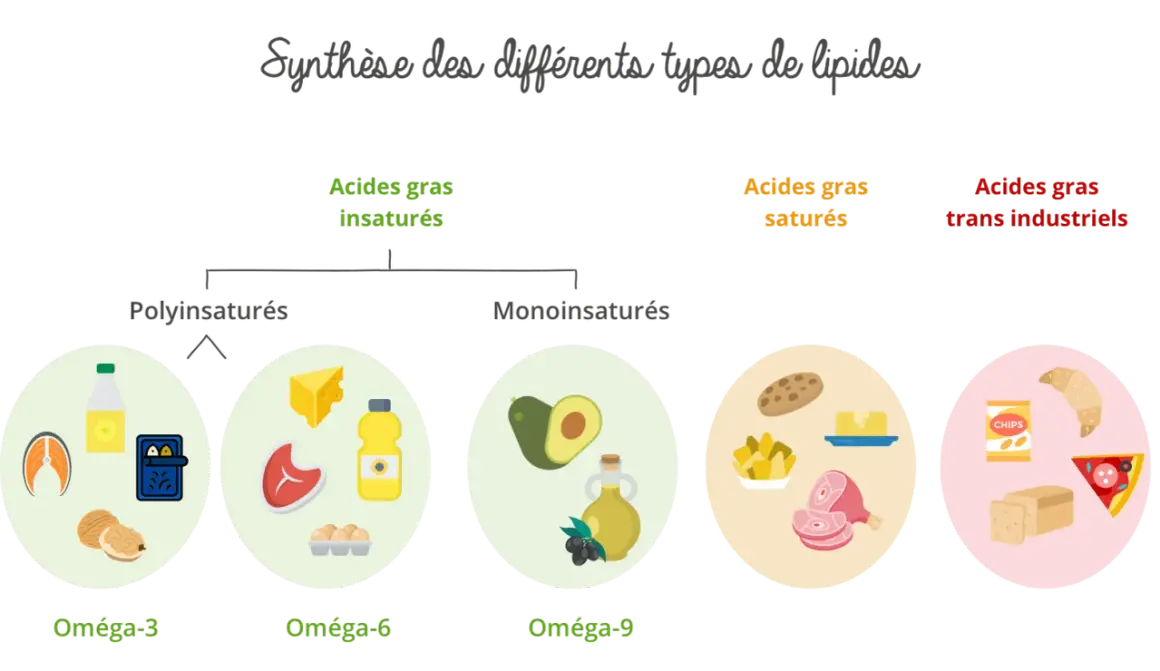 Schéma des lipides : oméga-3, oméga-6, oméga-9, acides gras saturés (viande, beurre) et trans industriels (chips, croissant).