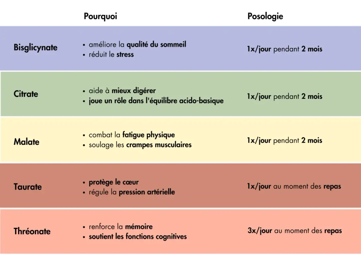 Tableau comparatif des formes de magnésium : Bisglycinate pour réduire le stress, Citrate pour la digestion, Malate pour la fatigue, Taurate pour le cœur, Thréonate pour la mémoire. Ces aliments magnésium aident à gérer le stress.