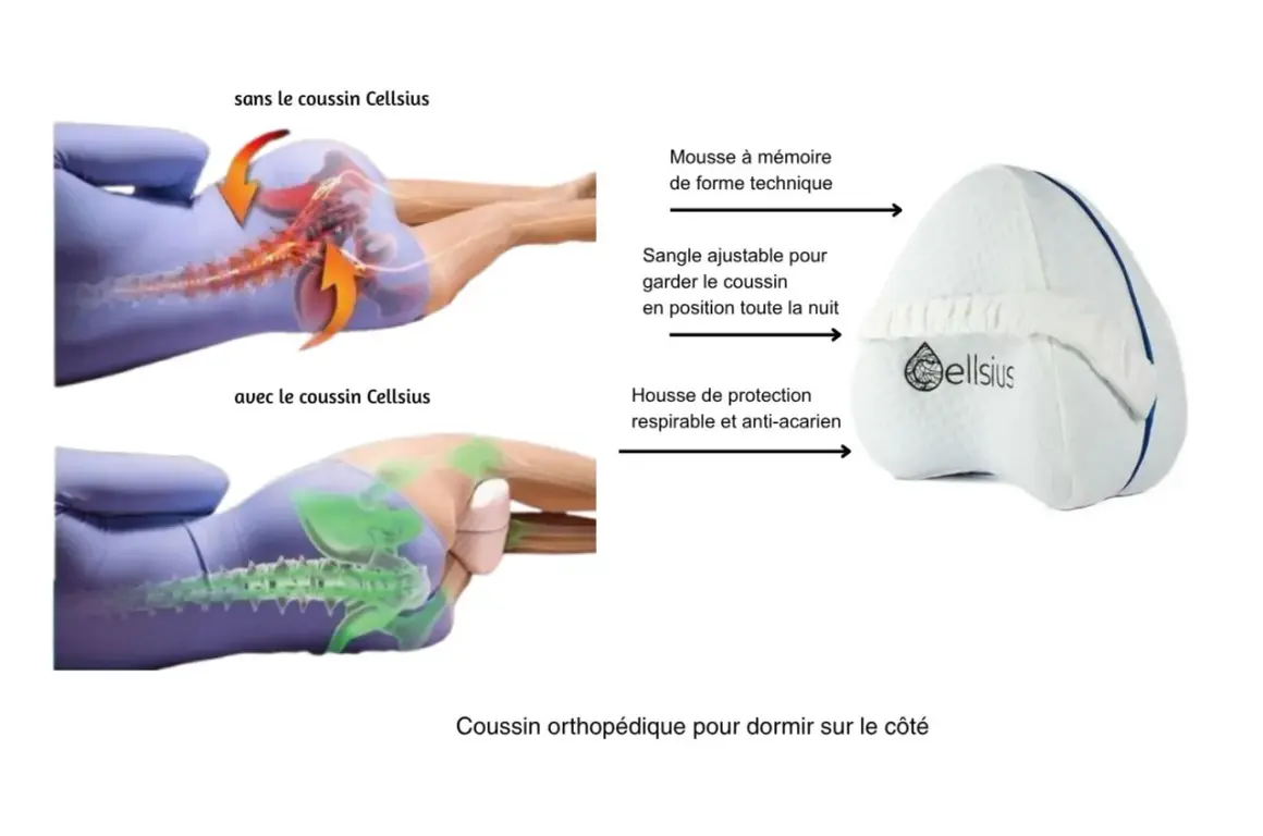 Illustration montrant la réduction de la douleur au sacrum pendant la grossesse grâce à un coussin orthopédique.